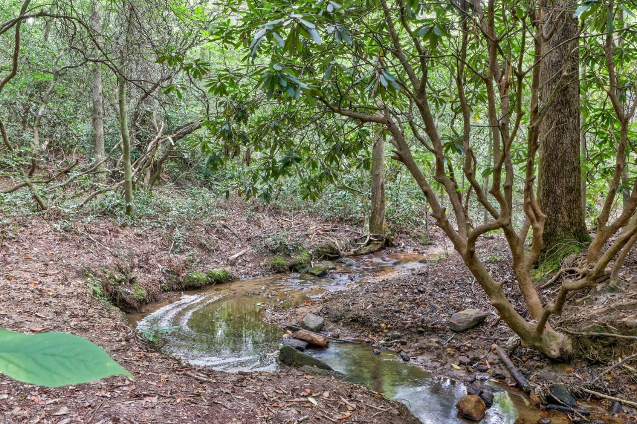 فيلا Four Cubs In The Creek Sautee Nacoochee المظهر الخارجي الصورة